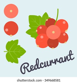 Vector bunch of Redcurrant, flat design
