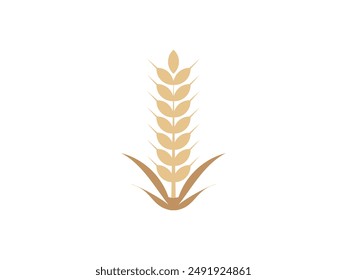 vector bunch of wheat or rye ears with whole grain logo icon template