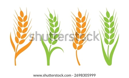 vector bunch of wheat or rye ears with whole grain. Sheaf of wheat enagraving. Ears of wheat, wreaths and grain spikes set icons