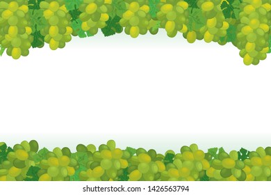 Vector bunches of green  wine grape with green leaves background design template.