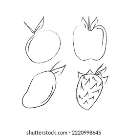 vector bundle four different fruits