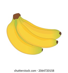 Vector bundle of yellow bananas. Vector illustration
