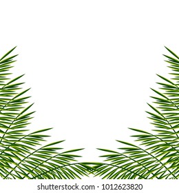 Vector bunner with palm leaves. Summer illustration. Exotic tropical poster with palm leaf.