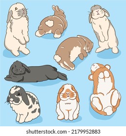 vector bunnies pack, rabbit vector, minilop bunny, sleeping bunny