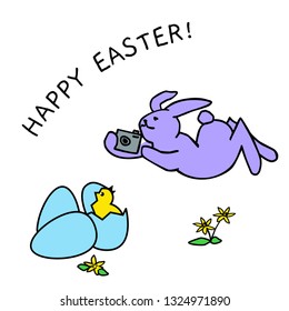 vector bunny with camera and bird