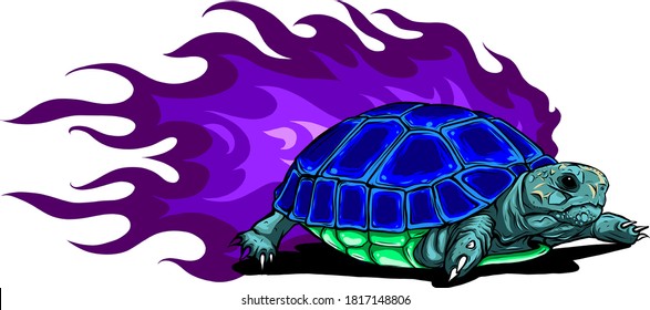 vector Burmese star tortoise on white background