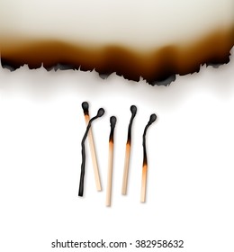Vector Burned Paper Edges whith Burnt Matches at Various Stages Close up Top View Isolated on White Background
