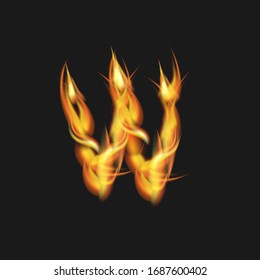 vector burning fire, fire burning in a triangle on a dark background, latter "W" fire