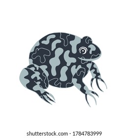 Ilustración de rana de corte vectorial en tonos grises. Toad con impresión diferente sobre fondo blanco. Ilustración de la mano.