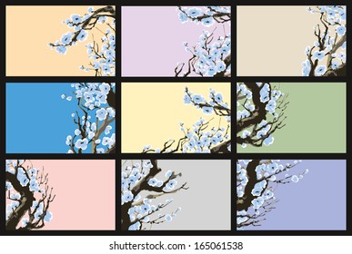 Vector business card in oriental style. Background with soft white flowers of the tree branch and place for text labels