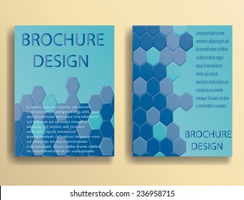 Vector Business Flyer Template. Modern poster for Brochure 