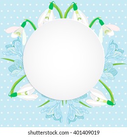 Vector business and personal cards with a spring theme, blue and white color, primroses, snowdrops and crocuses