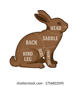 Vector butcher diagram guide for cutting rabbit