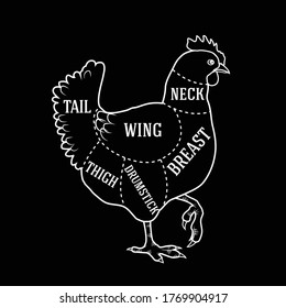 Vector butcher diagram guide for cutting chicken