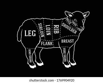 Vector butcher diagram guide for cutting lamb