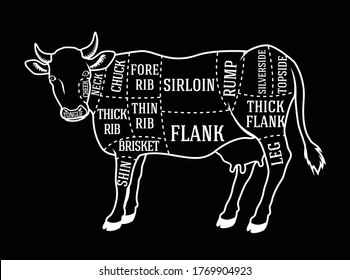 Vector butcher diagram guide for cutting beef
