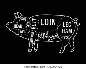 Vector butcher diagram guide for cutting pork