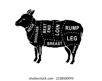 Vector Butcher Diagram Guide For Cutting Lamb