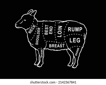 Vector Butcher Diagram Guide For Cutting Lamb