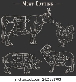 Vector butcher diagram guide for cutting meat