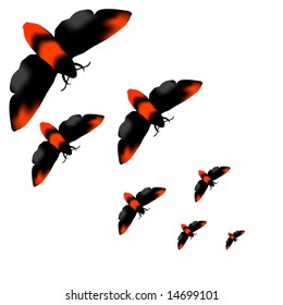 vector butterflies background