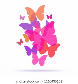 Vector butterflies background design