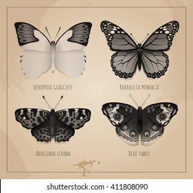 Vector Butterflies black and white cover. Vintage design to print. Printable art for postcard. Collection of butterflies on a background of old paper with watercolor spots.