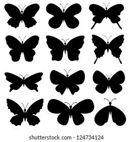 Vector. Butterflies collection.