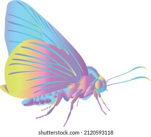 vector butterflies. colorful butterfly drawings.