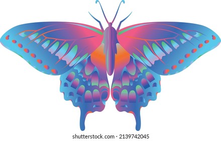 vector butterflies. colorful butterfly drawings.