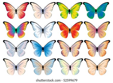 Mariposas vectoras. Variantes de color diferentes