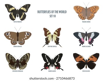 Mariposas de Vector aisladas sobre fondo blanco. Conjunto de colores 