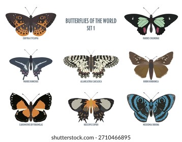 Vector butterflies isolated on white background. Color set 