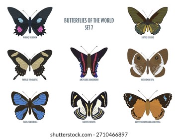 Vector butterflies isolated on white background. Color set 
