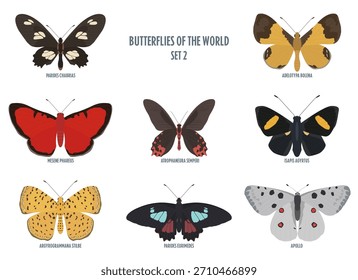 Vector butterflies isolated on white background. Color set 