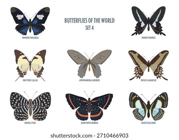 Mariposas de Vector aisladas sobre fondo blanco. Conjunto de colores 