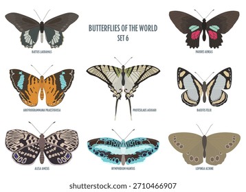 Vector butterflies isolated on white background. Color set 