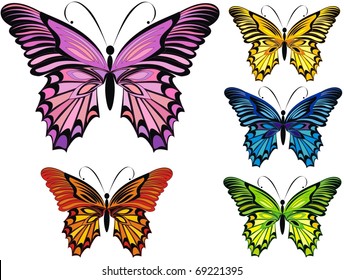 Vector butterflies isolated on a white background