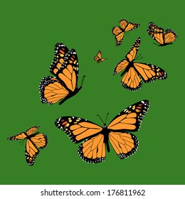 Vector with butterflies on green background