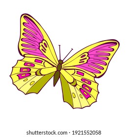 Vector butterflies is on white background. Bright colors purple and yellow.