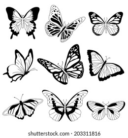 Vector Butterflies On White Background Stock Vector (Royalty Free ...