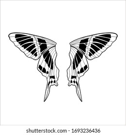 Vector butterflies silhouette. Wings silhouette isolated on white background. Black wings butterfly contour. Hand drawn elegant design element. 