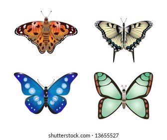 Vector Butterfly