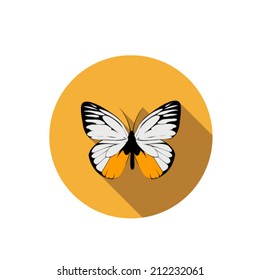 vector of Butterfly 