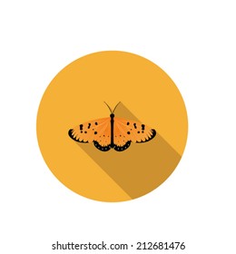 vector of Butterfly 