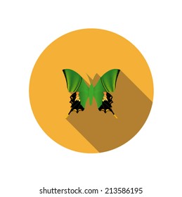 vector of Butterfly 