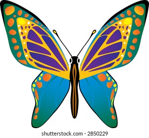 Vector butterfly