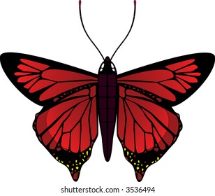 Vector butterfly