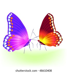 Vector butterfly