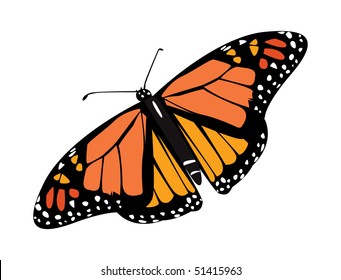 Vector Butterfly